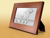 Picture frame in Photoshop