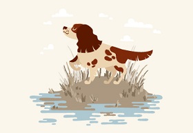 hunting dog in illustrator