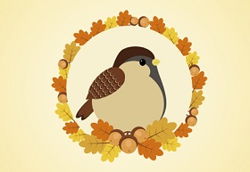 Create a sparrow in adobe illustrator