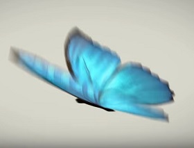 Create Animate Butterfly / Bird in After Effects - Cgcreativeshop