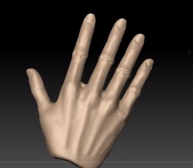 Sculpting a Detailed Hand in ZBrush