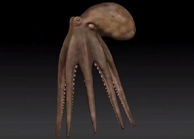 octopus in zbrush