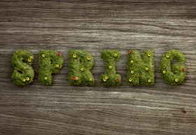 Create a Grass-Covered Spring Text Effect in Photoshop