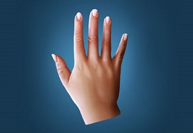 Paint Realistic Hands in Adobe Photoshop