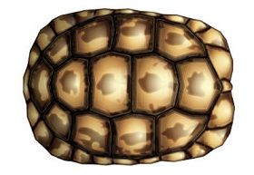 Create Tortoise Shell with Appearance Panel in Illustrator