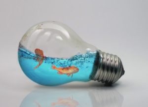 Water Splash with Goldfish in a Bulb in Photoshop