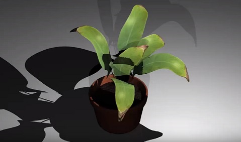 Model a Potted Plant in Maya