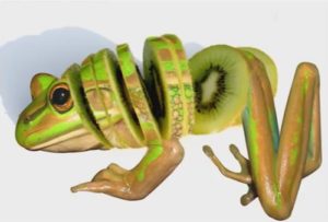 Fruit Frog in Photoshop