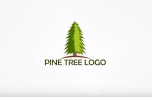 Draw Vector Pine Tree Logo in CorelDRAW
