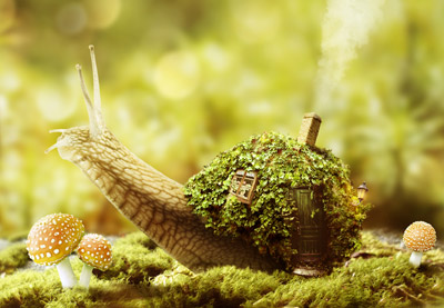 Create a Fantasy Snail House with Photoshop