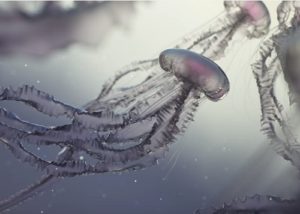 Model, texture and light a Jellyfish in Cinema 4D