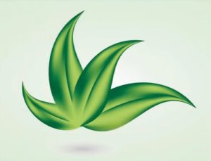 Draw a Leaf Logo Design in CorelDraw X8