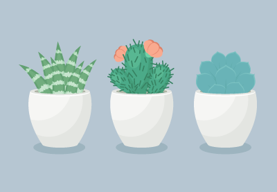 Draw a Trio of Succulents Plants in Illustrator