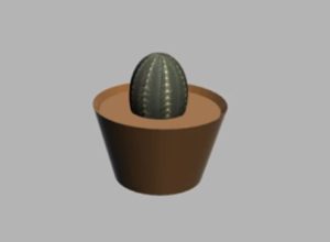 Modelling Ornamental Cactus in 3ds Max