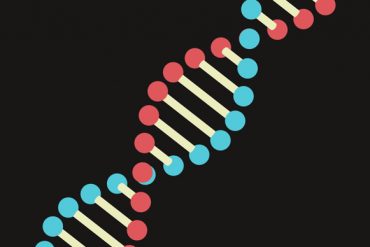 Create a Simple 3D DNA in After Effects