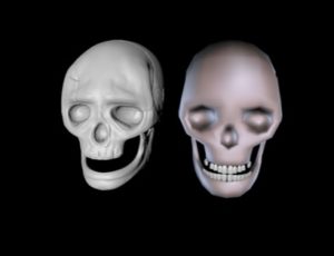 Modelling a Simple Skull in maxon Cinema 4D