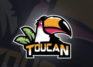 Draw a Toucan Bird Logo Design in Photoshop