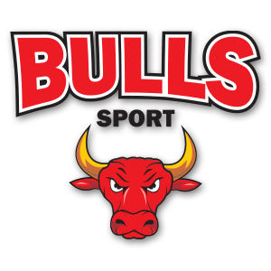 Vector Bulls Sport Logo Free download