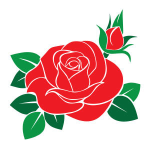 Red Rose Free Vector download