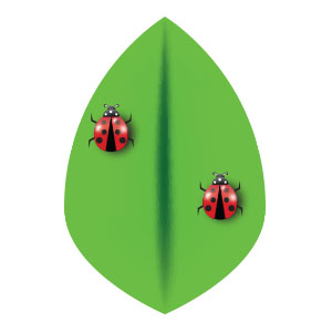 Cute Vector Ladybug Free download