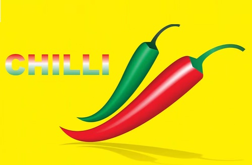 Draw a Vector Chili Logo Design in CorelDRAW