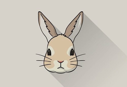 Draw a Vector Rabbit Icon in Adobe Illustrator