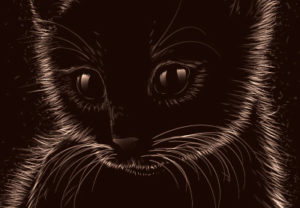 Draw a Soft, Furry Kitten in Adobe Illustrator