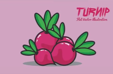 Draw a Turnip Flat Design in Adobe Illustrator