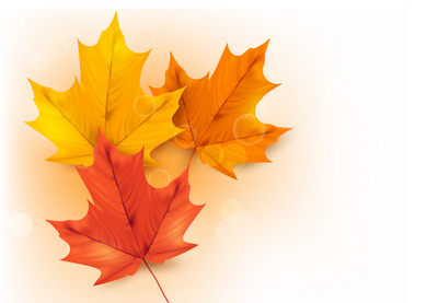 Draw a Autumn Background with Leaves in Illustrator