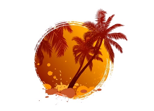 Draw a Palm Tree Logo in Adobe Illustrator