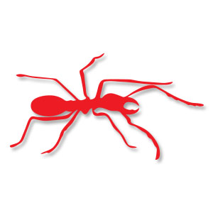 Ant Insect Silhouette Free Vector download