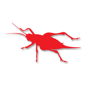 Cricket Insect Silhouette Free vector