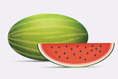 Draw a Realistic Watermelon in Adobe Illustrator
