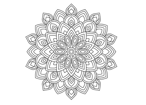 Draw Simple Mandala with Rotate Tool in Illustrator