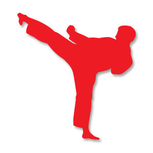 Karate Man Silhouette Free Vector
