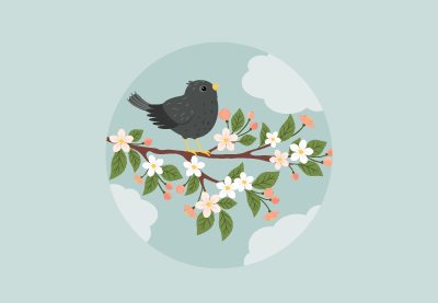 Draw a Starling on a Branch in Adobe Illustrator