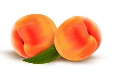 Draw Vector Peaches with Gradient Mesh in Illustrator