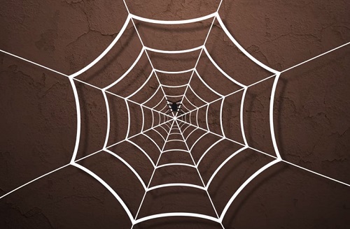 Create Web Spider Animation in After Effects