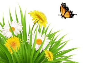 Draw a Nature Scene with Dandelions and a Butterfly in Illustrator