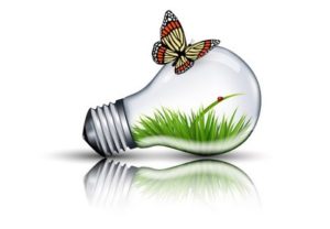 Draw an Eco Bulb and Butterfly in Adobe Illustrator