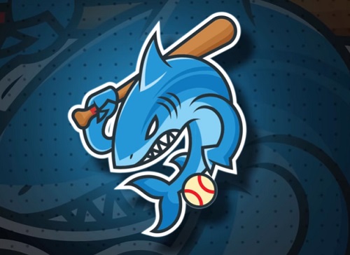 Draw a Baseball Shark Mascot Logo in Illustrator