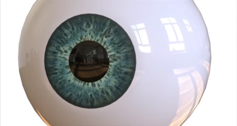 Modeling a Realistic 3D Eyeball in Maya 2019
