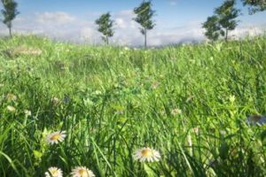 Creating Realistic Meadow in 15 Minutes with Blender