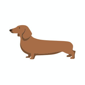 Simple Dachshund Dog Free Vector download