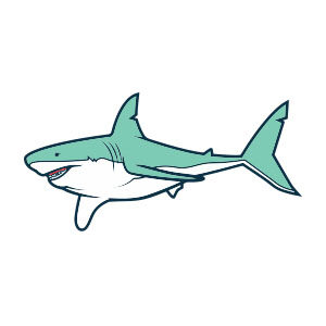 Simple Shark Draw Free Vector download
