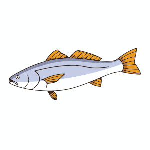 Simple Fish Flat Design Free Vector download