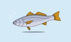 Draw a Flat Vector Fish Illustration in Adobe Illustrator