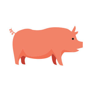 Stylized Pig Draw Free Vector download