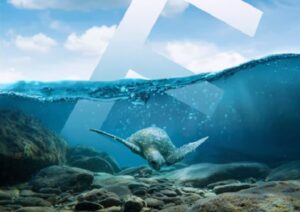 Create Underwater Poster with a Sea Turtle in Photoshop